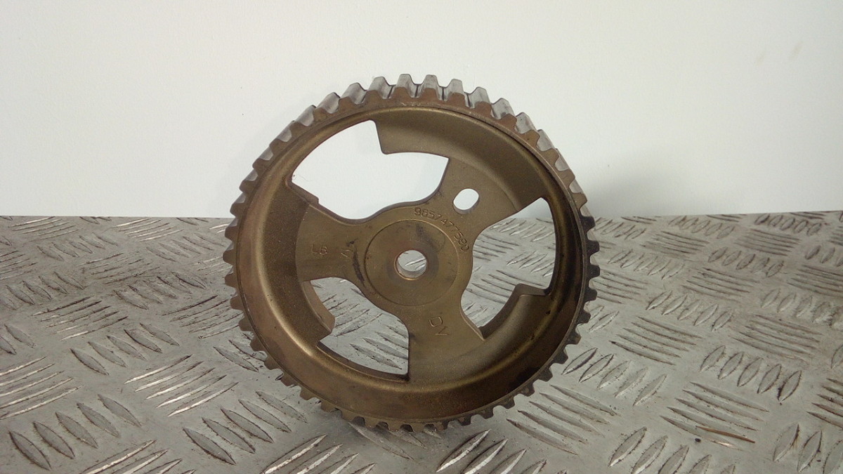 Miniatura 5