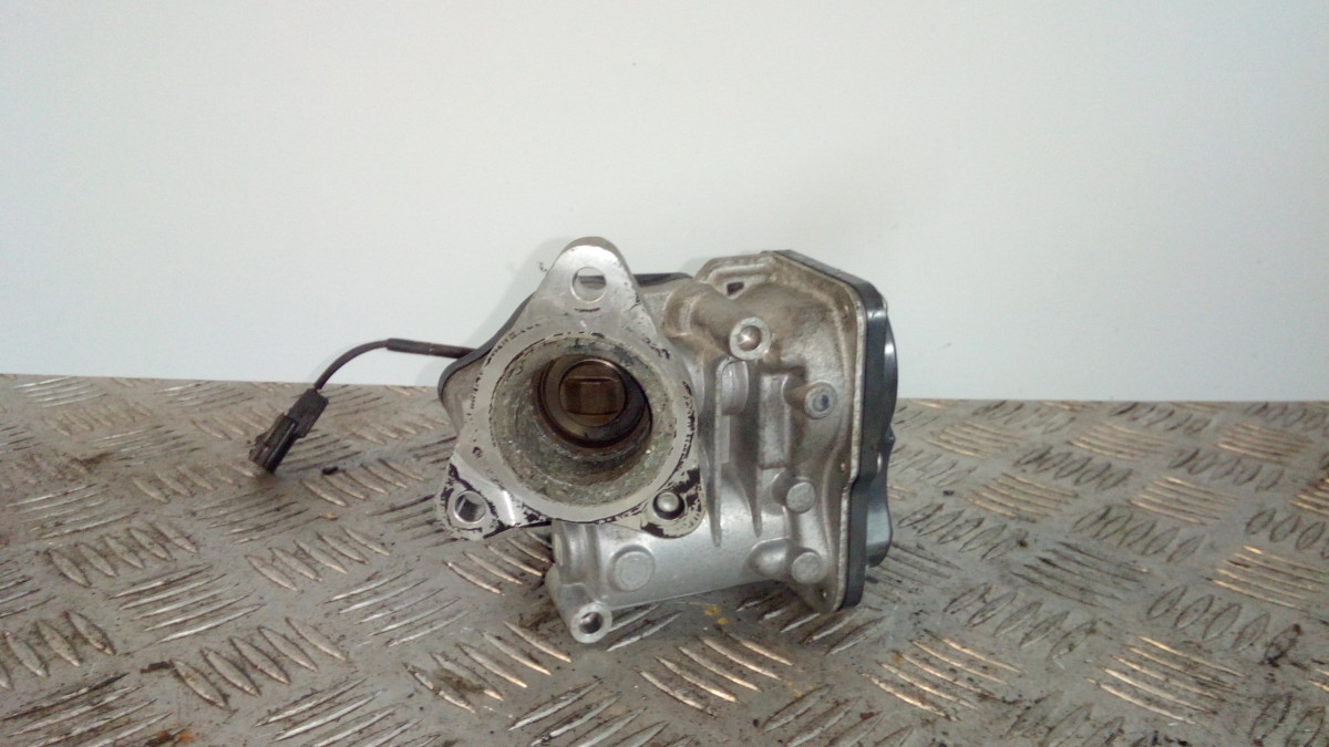Corpo Farfallato H8201143495 8201143495 Usato